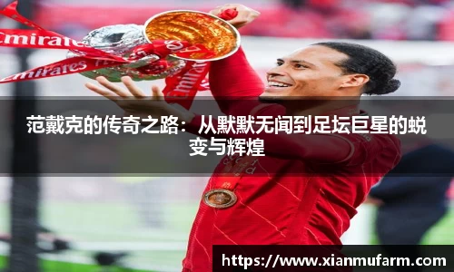 范戴克的传奇之路：从默默无闻到足坛巨星的蜕变与辉煌