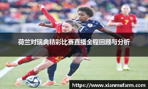 荷兰对瑞典精彩比赛直播全程回顾与分析