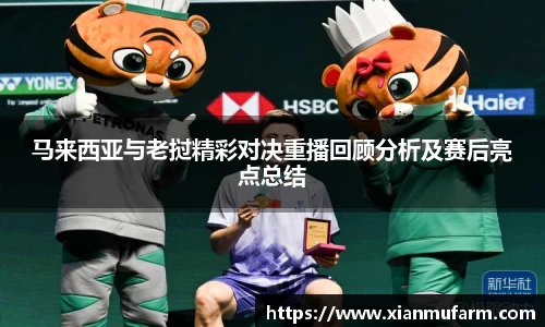 马来西亚与老挝精彩对决重播回顾分析及赛后亮点总结