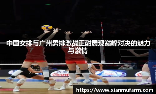 中国女排与广州男排激战正酣展现巅峰对决的魅力与激情