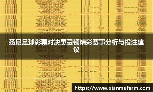 悉尼足球彩票对决惠灵顿精彩赛事分析与投注建议